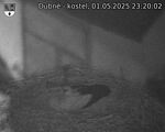 Capi_Dubne_20250501_232002.jpg