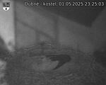Capi_Dubne_20250501_232503.jpg