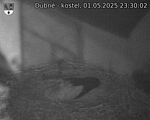Capi_Dubne_20250501_233002.jpg