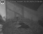 Capi_Dubne_20250501_235003.jpg