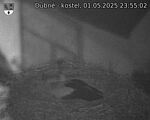 Capi_Dubne_20250501_235502.jpg