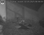 Capi_Dubne_20250502_000003.jpg