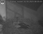 Capi_Dubne_20250502_000503.jpg