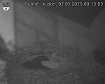 Capi_Dubne_20250502_001503.jpg