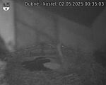 Capi_Dubne_20250502_003503.jpg