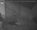 Capi_Dubne_20250502_004002.jpg