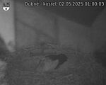 Capi_Dubne_20250502_010003.jpg
