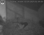 Capi_Dubne_20250502_010503.jpg