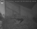 Capi_Dubne_20250502_011002.jpg