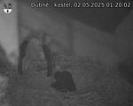 Capi_Dubne_20250502_012002.jpg