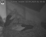Capi_Dubne_20250502_015502.jpg