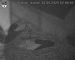 Capi_Dubne_20250502_020002.jpg
