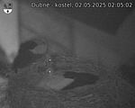 Capi_Dubne_20250502_020502.jpg