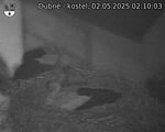 Capi_Dubne_20250502_021003.jpg