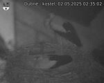Capi_Dubne_20250502_023502.jpg