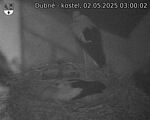 Capi_Dubne_20250502_030002.jpg