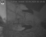 Capi_Dubne_20250502_031502.jpg