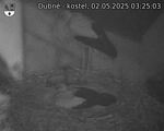 Capi_Dubne_20250502_032503.jpg