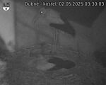 Capi_Dubne_20250502_033003.jpg