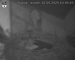 Capi_Dubne_20250502_034503.jpg
