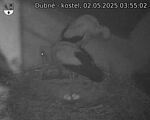 Capi_Dubne_20250502_035502.jpg