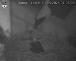 Capi_Dubne_20250502_040503.jpg