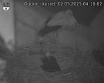Capi_Dubne_20250502_041002.jpg