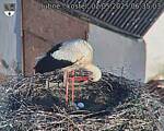 Capi_Dubne_20250502_063503.jpg