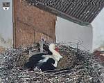 Capi_Dubne_20250502_073503.jpg