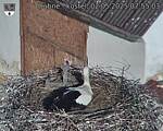 Capi_Dubne_20250502_075503.jpg