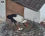 Capi_Dubne_20250502_080503.jpg