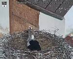 Capi_Dubne_20250502_084503.jpg