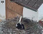 Capi_Dubne_20250502_085002.jpg