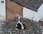 Capi_Dubne_20250502_092003.jpg