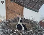 Capi_Dubne_20250502_092503.jpg