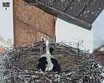 Capi_Dubne_20250502_100003.jpg