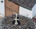 Capi_Dubne_20250502_101003.jpg