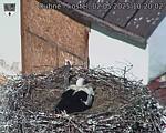Capi_Dubne_20250502_102002.jpg