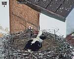 Capi_Dubne_20250502_103003.jpg
