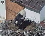 Capi_Dubne_20250502_104003.jpg