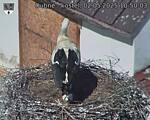 Capi_Dubne_20250502_105003.jpg