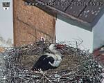Capi_Dubne_20250502_105502.jpg