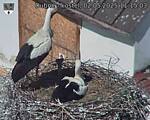 Capi_Dubne_20250502_111503.jpg