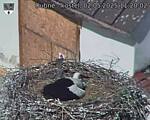 Capi_Dubne_20250502_112002.jpg