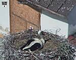 Capi_Dubne_20250502_113503.jpg