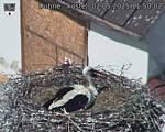 Capi_Dubne_20250502_115002.jpg