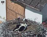 Capi_Dubne_20250502_122002.jpg