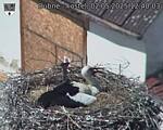 Capi_Dubne_20250502_124003.jpg
