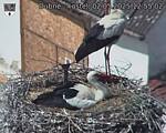 Capi_Dubne_20250502_125502.jpg
