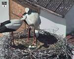 Capi_Dubne_20250502_133003.jpg